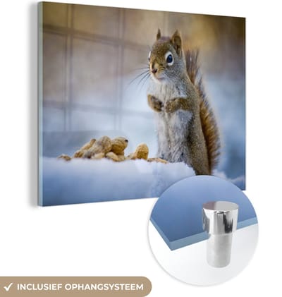 MuchoWow® Glasschilderij 160x120 cm - Schilderij acrylglas - Eekhoorn - Noten - Sneeuw - Winter - Knaagdieren - Seizoenen - Foto op glas - Schilderijen