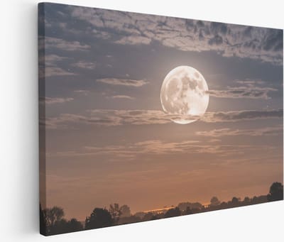 Saammp Muurcirkel Hout - Tijger - Abstract - Ø 90 - Wandcirkel - Wanddecoratie Cirkel - Muurdecoratie Kinderkamer - Slaapkamer decoratie - Rond Schilderij