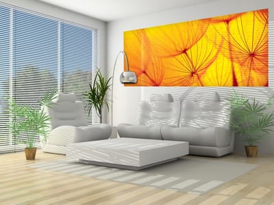 Flower Dandelion Photo Wallcovering