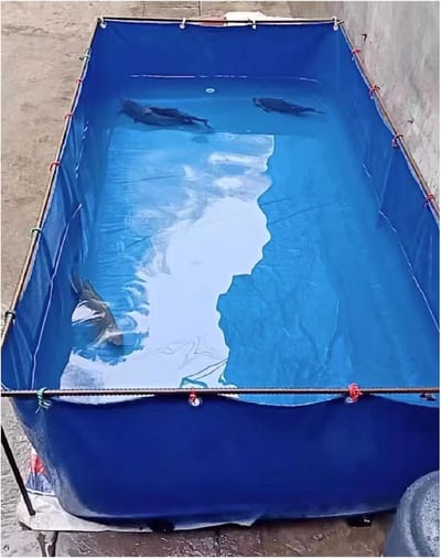 Visbak Tank - Opvouwbaar Reservoir - Vis Kweek - Waterdicht PVC Materiaal - Aanpasbaar Formaat