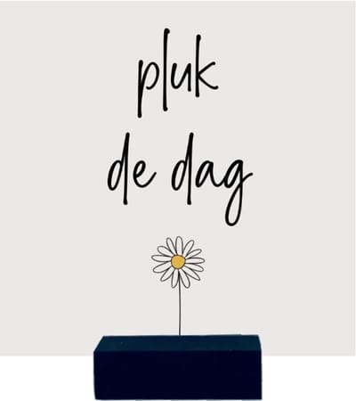 PLUK DE DAG | tegeltje van forex | 13 x 13 cm | met zwarte houder