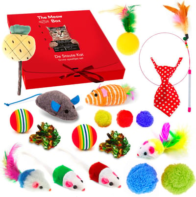 Allerion Kattenspeelgoed Set – Katten Speeltjes Intelligentie – 20 Verschillende Speeltjes – In Cadeauverpakking