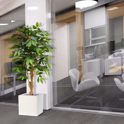 Coffee Arabica kunstplant deluxe 150cm N