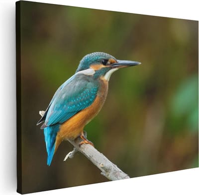 Artaza Canvas Schilderij Vogel - 40x30 cm - Klein - Wanddecoratie Dieren - Muurdecoratie IJsvogel - Kamer Accessoires