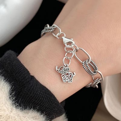 Zilveren Armband Dames Sieraden Mode Meisje Persoonlijkheid Verjaardagscadeau Openings Bedeltje Verstelbaar gray