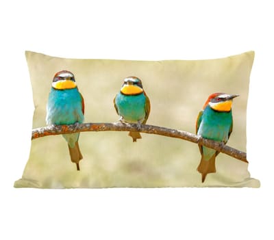 Sierkussens - Kussentjes Woonkamer - 50x30 cm - Vogels - Dieren - Bijeneter