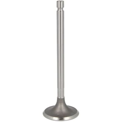 Inlaatklep PARADOWSCY PURS012