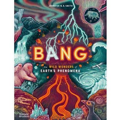 Bang - Wild Wonders - Jennifer N. R. Smith