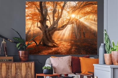 Muurstickers - Sticker Folie - Boom - Natuur - Herfst - 160x120 cm - Plakfolie - Muurstickers Kinderkamer - Zelfklevend Behang XXL - Zelfklevend behangpapier - Stickerfolie
