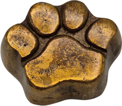 Urnenspecialist® - Urn - Hond - Hondenurn - Hondenpoot - Antiek Goud - Gold - Mini Urn - As Urn - Crematie Urn - 7cm - 15ml - Aluminium Urn