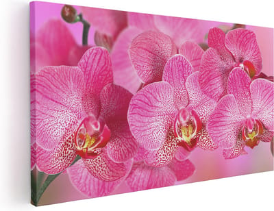 Artaza Canvas Schilderij Orchidee - 40x20 cm - Klein - Wanddecoratie Bloemen - Muurdecoratie Woonkamer - Schilderijen Op Canvas Roze