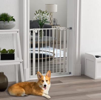 MIVRAY Hondenhek – 74-80 cm Zonder Boren – Metaal en Kunststof – Wit – Automatisch Sluitend Voor Deur, Gang en Trap