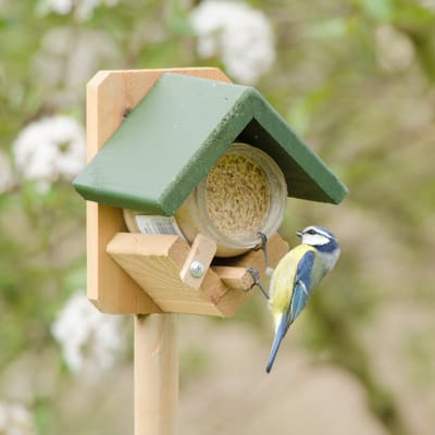 CJ Wildlife Pindakaaspothouder voor Vogels - Dublin - Vogelpindakaas Houder - Vogelvoederhuisje Pindakaas op Paal - Hout
