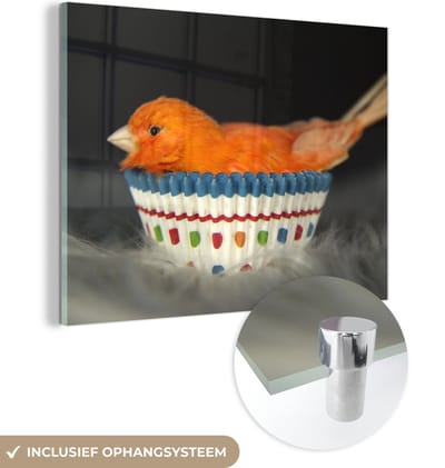 MuchoWow® Glasschilderij 160x120 cm - Schilderij acrylglas - Vogel - Cupcake vormpjes - Portret - Foto op glas - Schilderijen