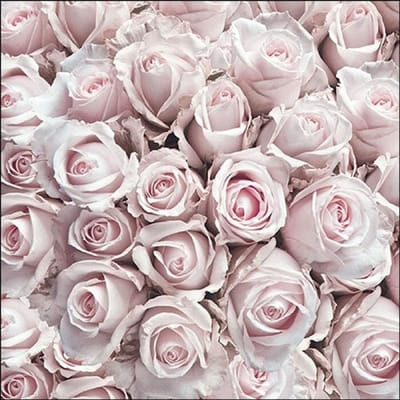 Lunch Servetten - Pastel Roses