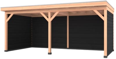 Douglas overkapping, 600 x 300, met achterwand en twee zijwanden, Westwood Comfort Plus Zwart