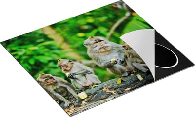 Chefcare Inductie Beschermer Groep Apen Eten Bananen in het Bos - 60x50 cm - Afdekplaat Inductie - Kookplaat Beschermer - Inductie Mat