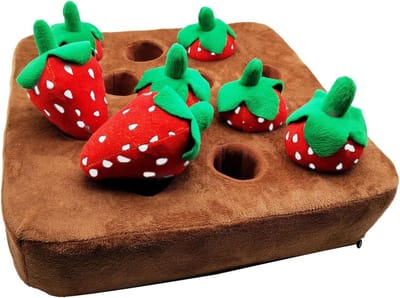 Snuffelmat Hond - Voedermat Interactief - Voedsel Verrijking - 12 Aardbeien Puzzels - 35x35 cm - Rood