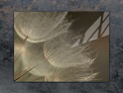 TMK ArtDeko - Snijplank - Beschermplaat - 70cm x 52cm - Kleur Kwiat