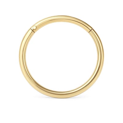 14kt - Geelgouden Segment Ring met Scharnier 10 mm - 1,2 mm Staaf Dikte - 14 Karaat Gouden Piercing Ring - Seamless Click Ring - Echt Goud (585) - Inclusief Echtheidscertificaat