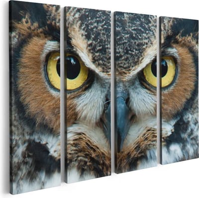 Artaza Canvas Schilderij Vierluik Uil Kop Met Gouden Ogen  - 80x60 - Foto Op Canvas - Canvas Print