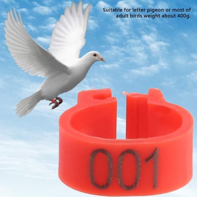 8MM Plastic Pigeon Bands - 100 Genummerde Legbanden voor Duiven en Vogels, Perfect voor Identificatie en Training