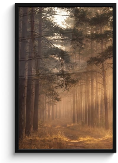 Poster in lijst - Fotolijst 60x90 cm - Posters - Bos - Mist - Zonlicht - Posterlijst zwart - Decoratie - Wanddecoratie woonkamer - Muurdecoratie slaapkamer