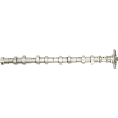Nokkenas  AE CAM966