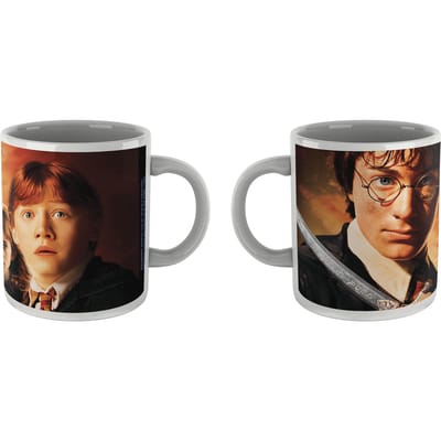 Harry Potter Chamber Of Secrets Mug