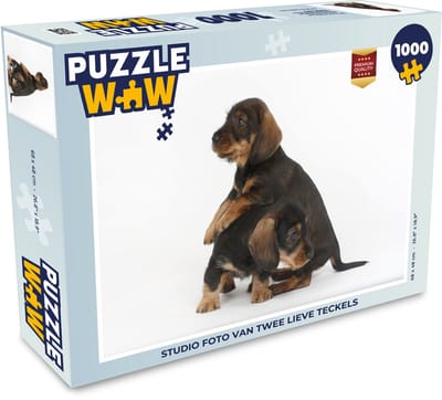 Puzzel Studio foto van twee lieve Teckels - Legpuzzel - Puzzel 1000 stukjes volwassenen