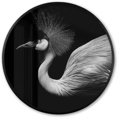 Poster in lijst Rond - Fotolijst 60x60 cm - Posters - Kraanvogel - Zwart - Wit - Vogel - Dieren - Ronde posterlijst zwart - Decoratie - Wanddecoratie woonkamer - Muurdecoratie slaapkamer