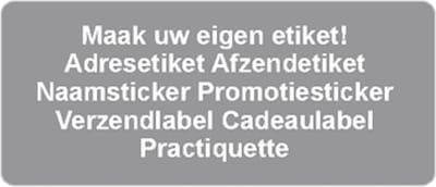 Verzendetiket - zilver - 250 stuks - 21x48mm - rechthoek - gepersonaliseerd - met eigen tekst