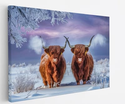 Saammp Canvas Schilderij Schotse Hooglander Koe in de mist - Dieren - Natuur - 45x30 - Foto op canvas - Wanddecoratie - muurdecoratie Woonkamer - Slaapkamer decoratie - Canvas Print