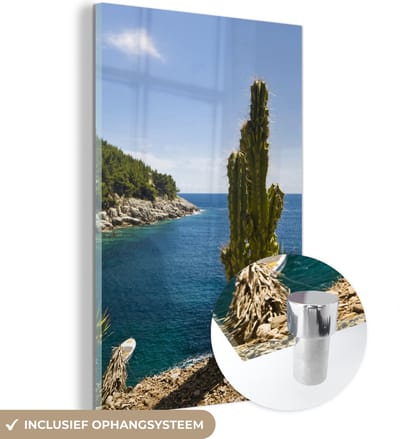 ® Glasschilderij 120x180 cm - Schilderij acrylglas - Een cactus bij de baai in het Nationaal park Mljet in Kroatië - Foto op glas - Muurdecoratie woonkamer - Wanddecoratie slaapkamer - Schilderijen