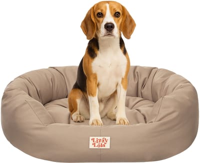 Lizzy & Lola - Amazy Hondenmand L - Met uitneembaar kussen – Hondenbed - Waterdicht & Ergonomisch – 75 × 60 cm - Beige