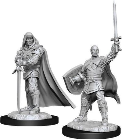 Dungeons and Dragons Miniatures - Nolzur's Marvelous - Human Male Paladin - Miniatuur - Ongeverfd