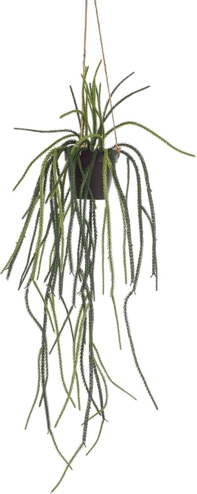 Emerald - Kunst Hangplant in pot Rhypsalis 85cm - Kunstplant voor binnen
