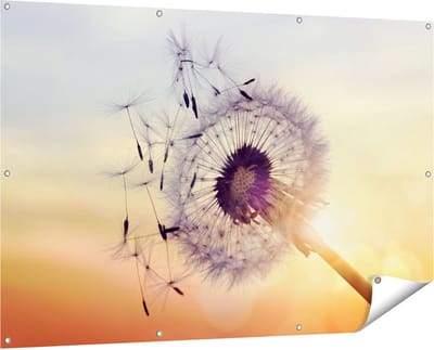 Gards Tuinposter Paardenbloem tijdens Zonsondergang - 150x100 cm - Tuindoek - Tuindecoratie - Wanddecoratie buiten - Tuinschilderij