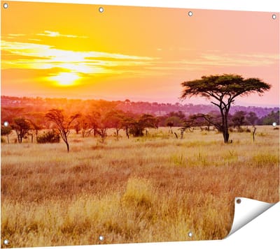 Gards Tuinposter Zonsondergang in de Savanne - 120x90 cm - Tuindoek - Tuindecoratie - Wanddecoratie buiten - Tuinschilderij