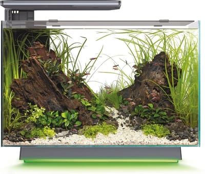 SuperFish Quadro 70 Multi Colour Zwart | 55 x 35 x 45,7CM