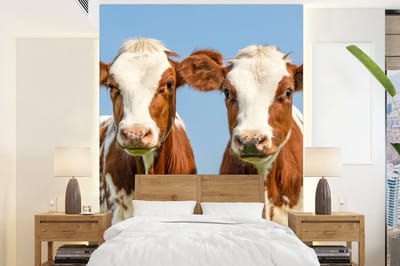 Behang - Fotobehang Koeien - Lucht - Dieren - Boerderij - Portret - Breedte 165 cm x hoogte 220 cm