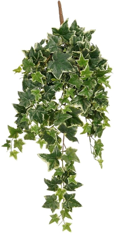 Mica Decorations Hedera klimop kunstplant - groen mix - hangplant - L25 x B25 x H80 cm - Kunstplanten/nepplanten