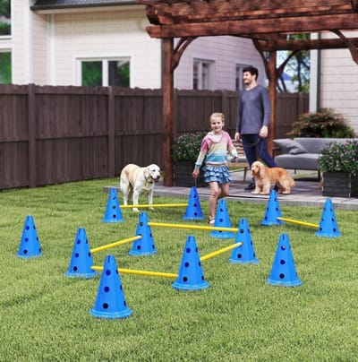 MEUNIQ agility-set voor honden met 6 hordes, 12 kegels en draagtas, verstelbare hoogte 6/13,5/20,5 cm, 80 x 22,5 x 30 cm, blauw