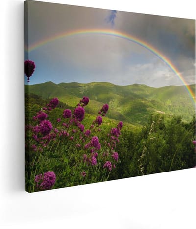 Artaza Canvas Schilderij Landschap - 50x40 cm - Wanddecoratie Regenboog - Muurdecoratie Bergen - Kamer Accessoires Bloemen