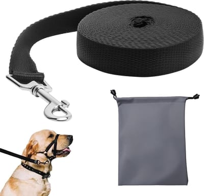 Dailygoods- Hondenriem 4,5 m - Trainingslijn - Sleelijn met karabijnhaak - Antislip - Roestvrij staal - Geschikt voor kleine honden - Hondentouw