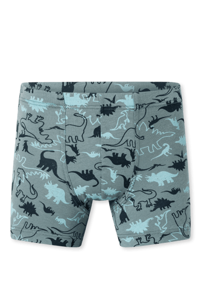 Korte broek set van 5 Organic Cotton Dinos streepjes groen/ blauw - 95/5 92