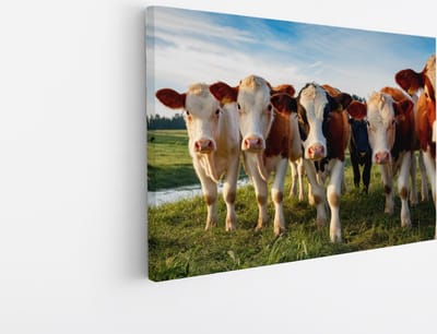 Saammp Canvas Schilderij - Koeien portret - Natuur - Dieren - 45x30 - Foto op canvas - Wanddecoratie - Muurdecoratie Woonkamer - Slaapkamer decoratie - Canvas Print