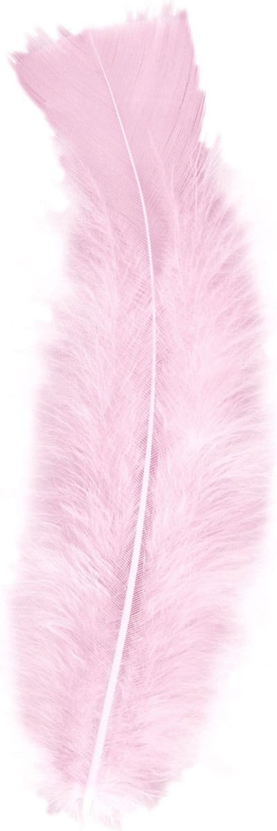 Widmann Sierveren - 50x - lichtroze - 17 cm - knutselveertjes - DIY/decoratie/hobbymateriaal