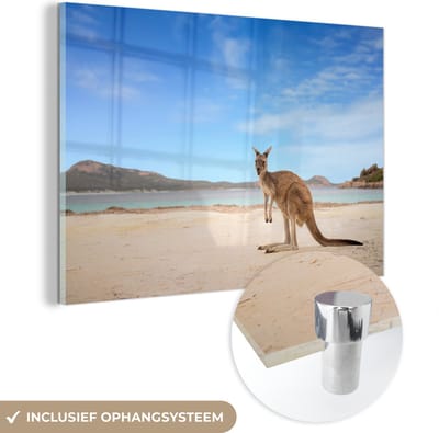 MuchoWow® Glasschilderij 60x40 cm - Schilderij acrylglas - Strand - Kangoeroe - Australië - Foto op glas - Muurdecoratie woonkamer - Wanddecoratie slaapkamer - Schilderijen