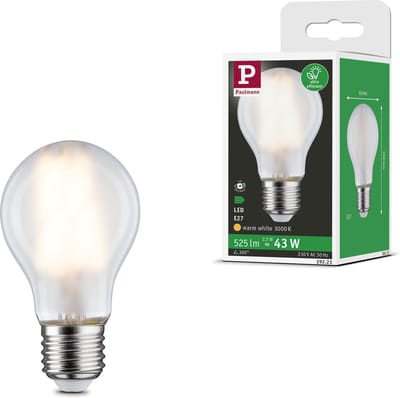 Eco-Line Filament 230 V LED-gloeilamp E27 Enkele lamp 525lm 2,5W 3000K Mat